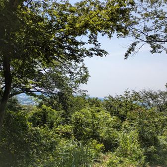 見晴らしの丘からのな崇め
見晴らせてないｗ