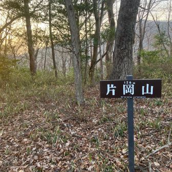 はい　楽しい山活もこれで終わりました〜
興奮覚めやらぬとはこの事でしょうねー