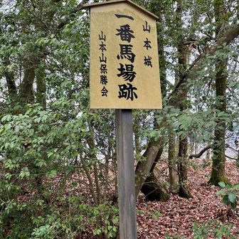 ここに馬をとめてたのかなぁ。