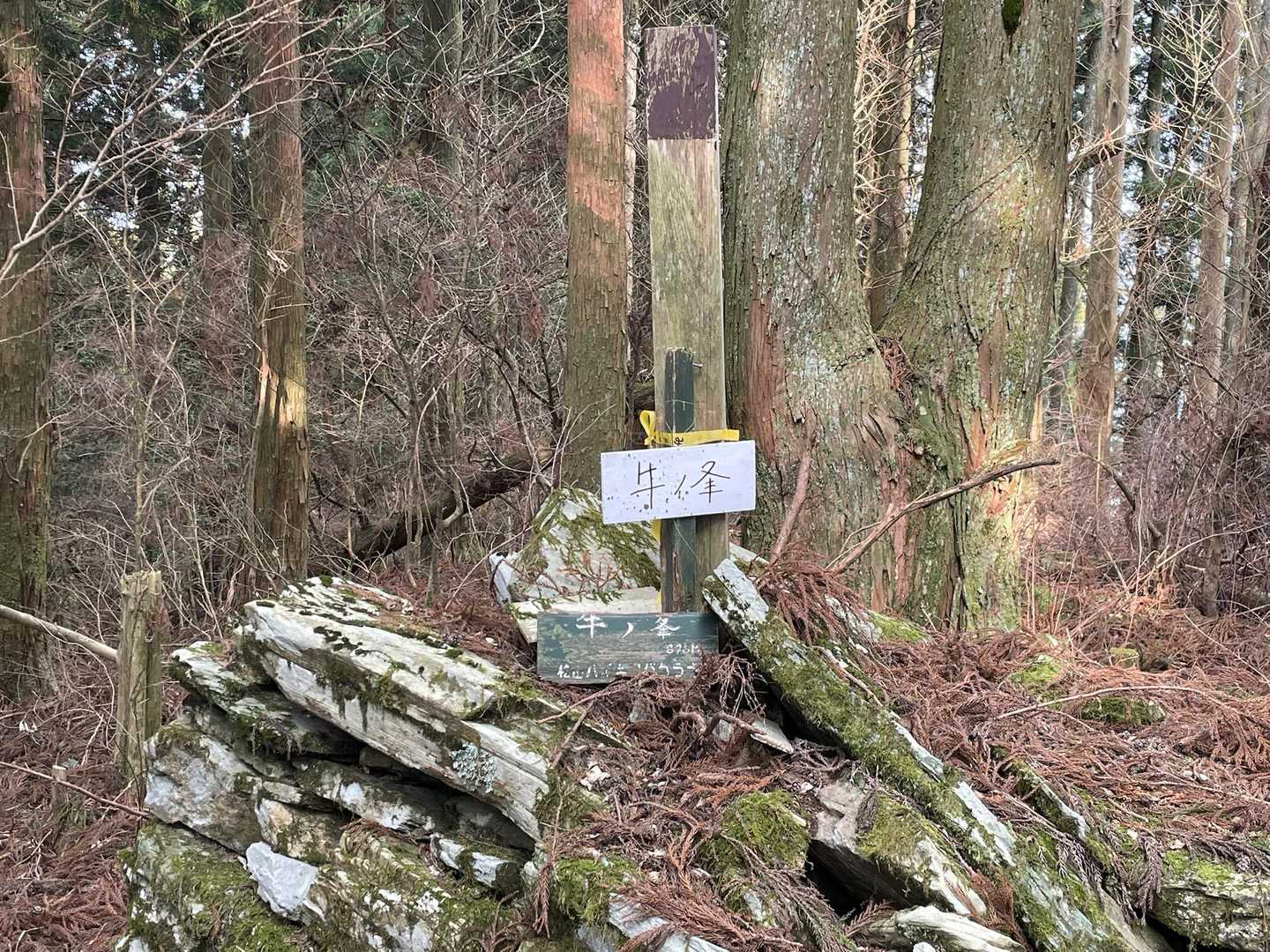牛ノ峯山頂（895.7ｍ）到着です。