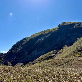 冠平から冠山を見上げます
逆光てわかりにくいですが、岩肌かっこいい姿が見れました