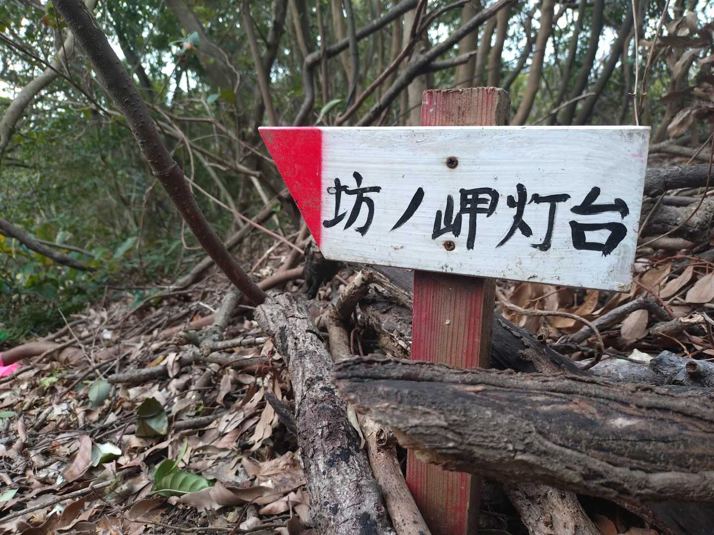 WAKUWAKUだよ🫶🏻🫶🏻