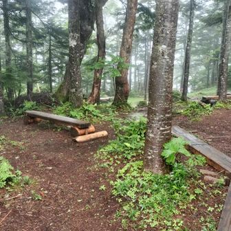 すごく整備された山頂周辺。こんなにベンチあるけど、そもそも登山口まで辿り着ける人がどのくらいいるんだろうか🙄