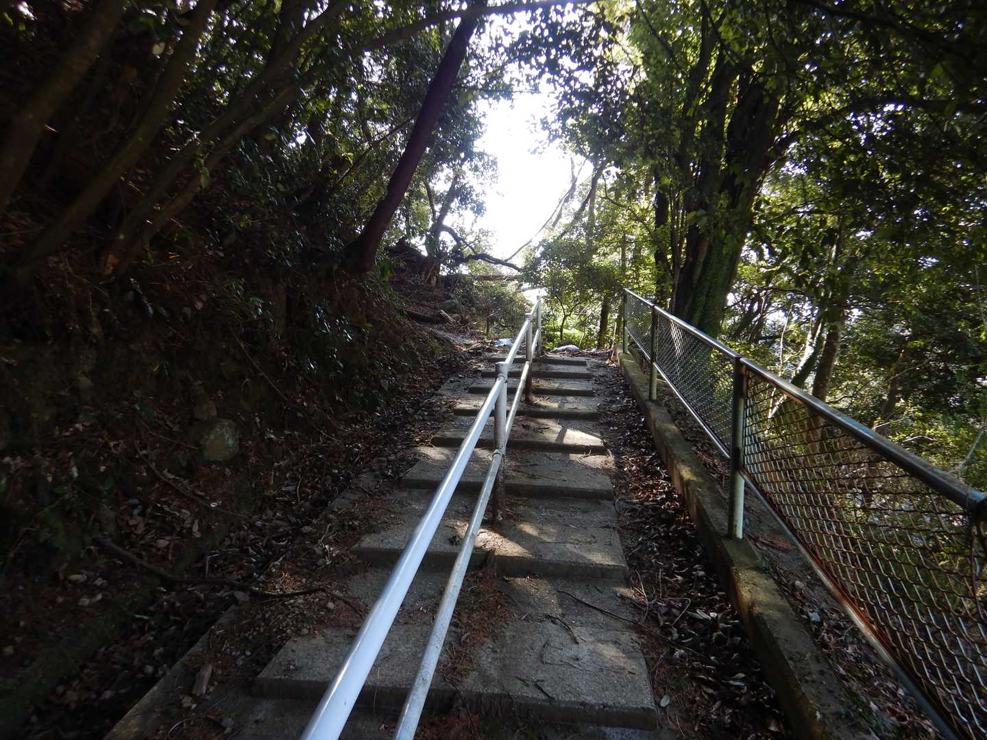 最初から急登です。