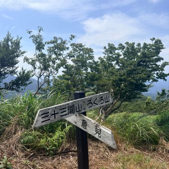 分岐、もちろんろくろ山方面へ