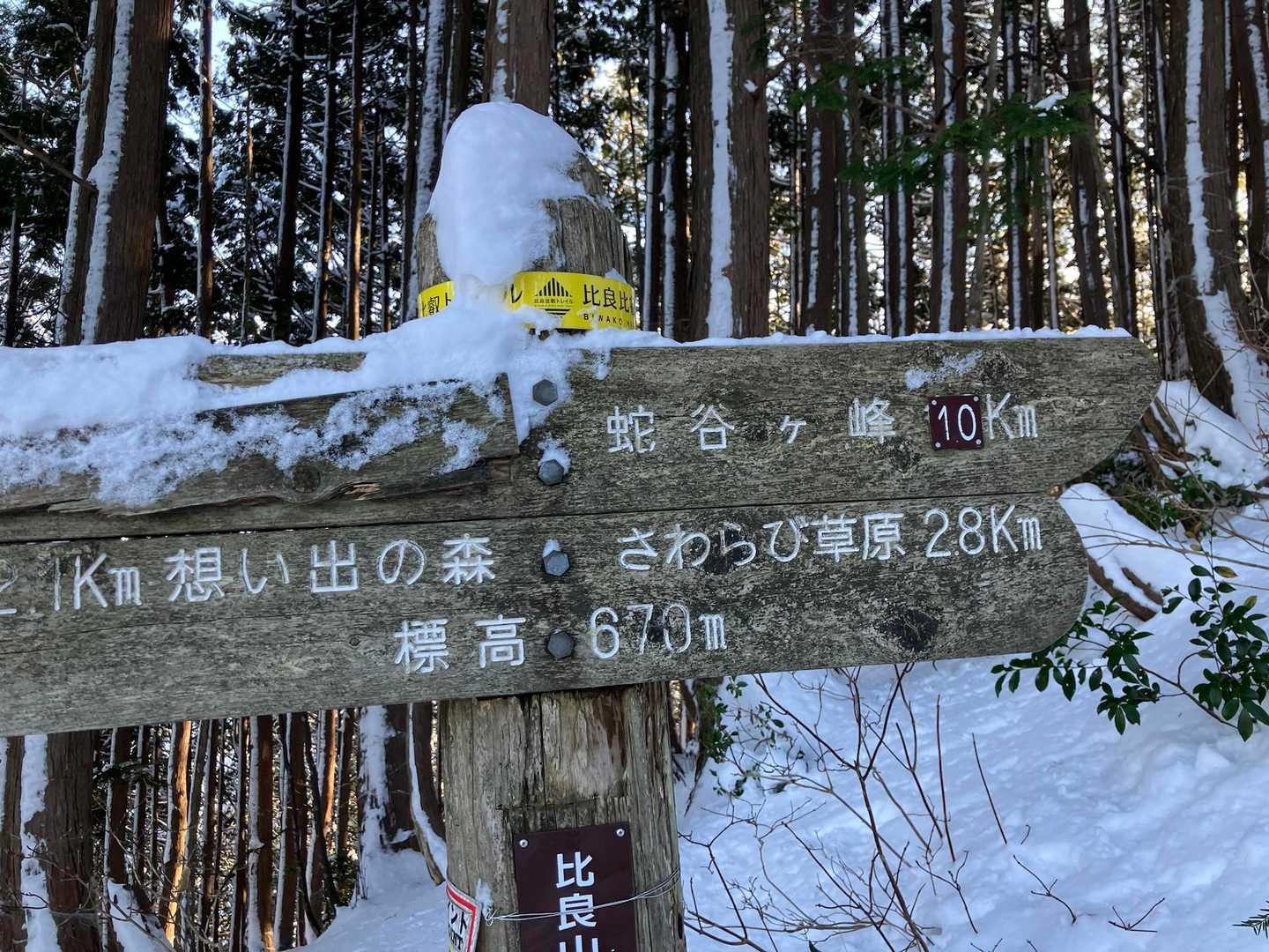 ここの看板の数字は小数点がないそうで笑