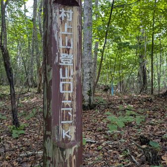 村上山登山口
あと2.1k💪