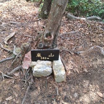 嵐山という山の存在は知りませんでした