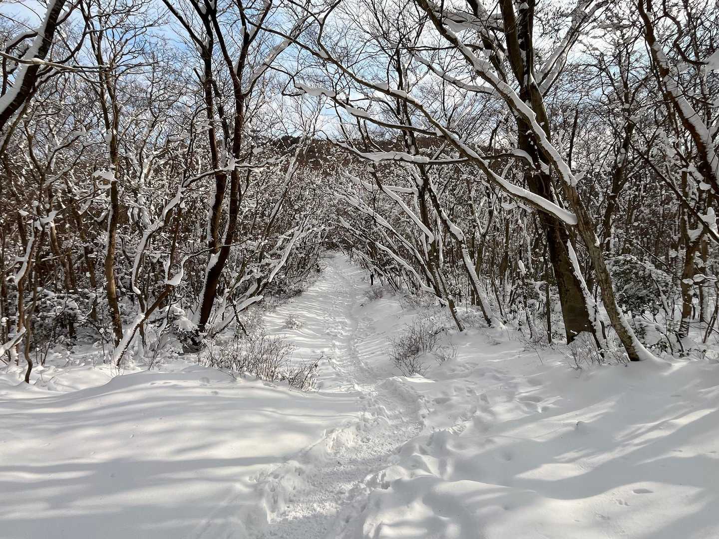 いいトレイルロード