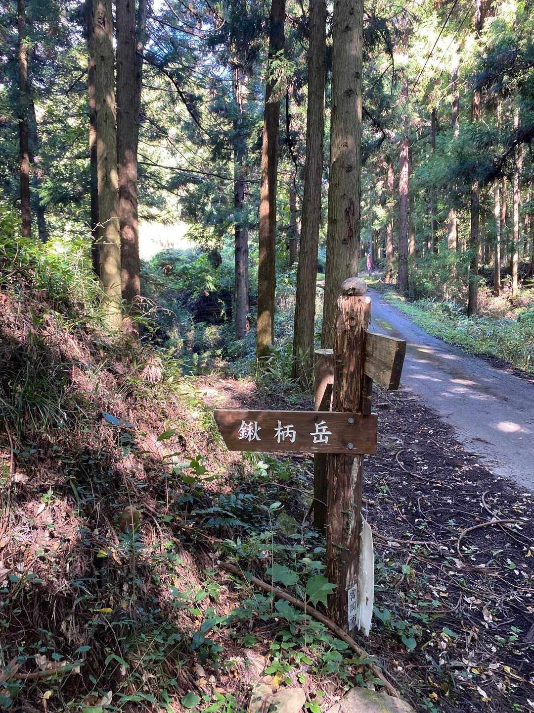 千平駅-鍬柄岳登山口-鍬柄岳 往復コースの写真