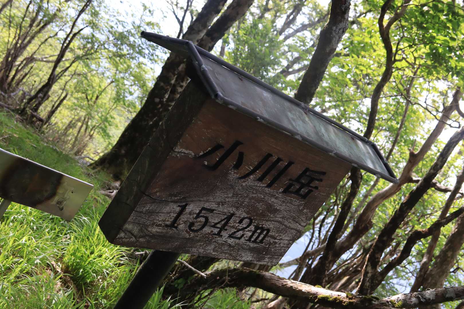 一応小川岳サンチョ。
最近サンチョの標識がまっすぐ撮れず。ケンピ太郎さんのスタンドに操られているのか❓🙄