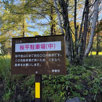 ここからスタート🚶‍♀️