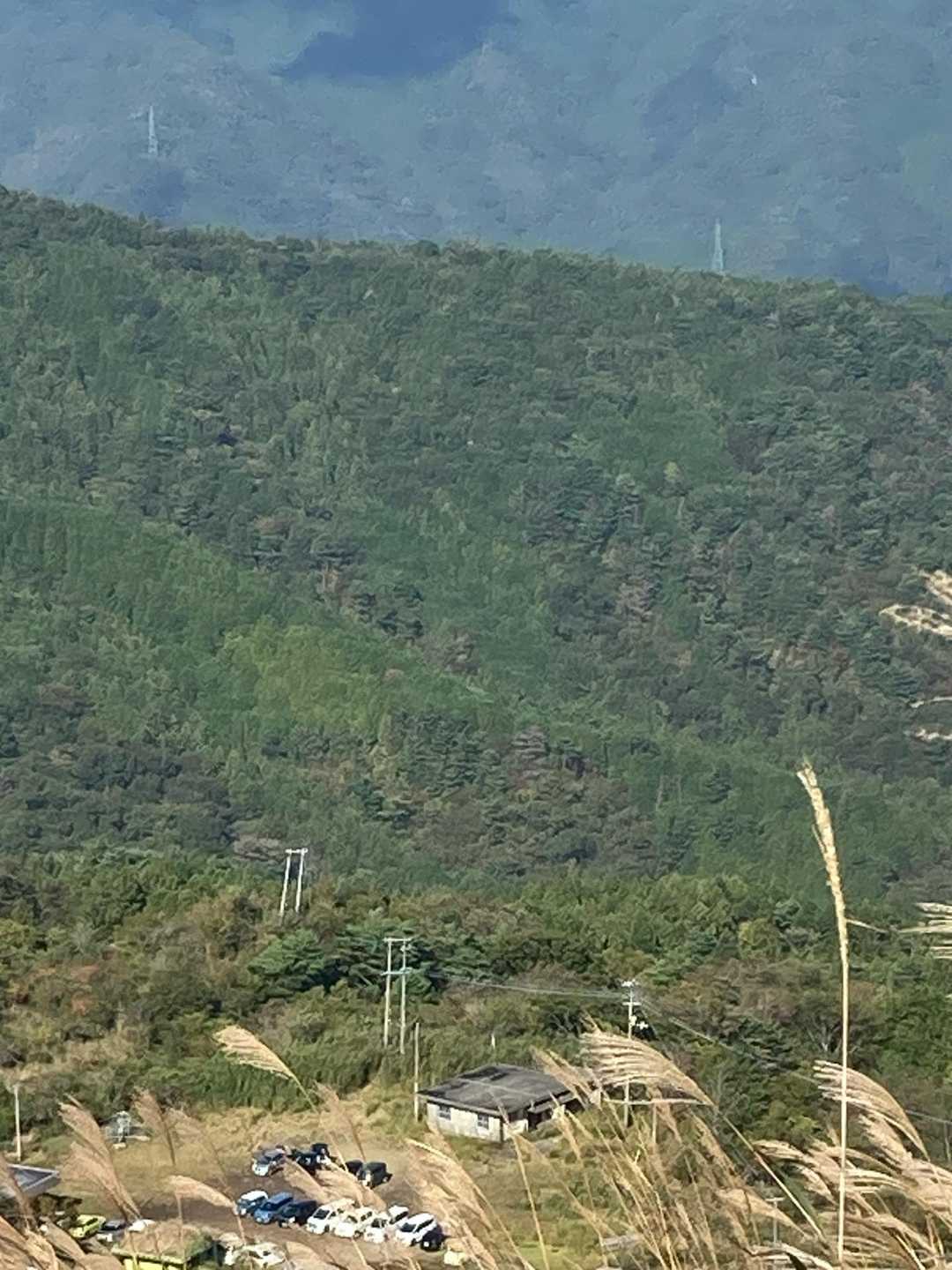 気持ち良くゴールできました。