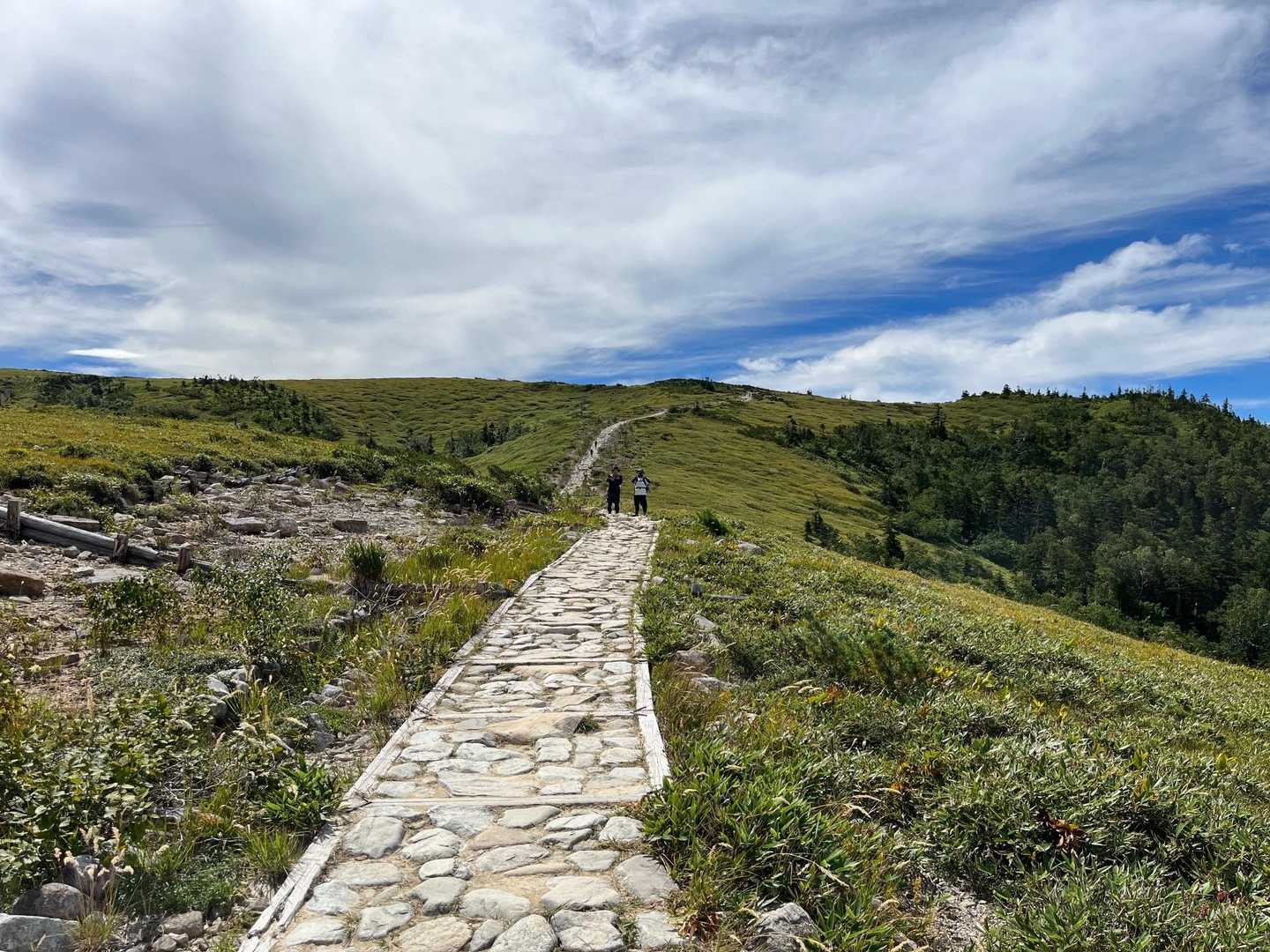 気持ちのよい登山道♪