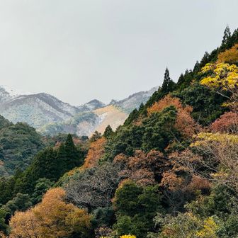 山頂はやっぱり真っ白