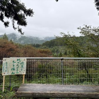 ベンチあり
残念ながらガス