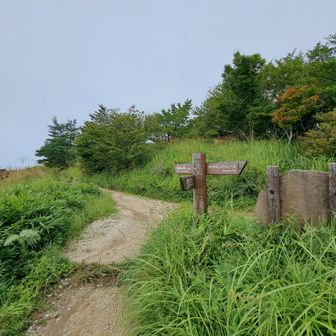 とりあえず荷物を軽くしたい～