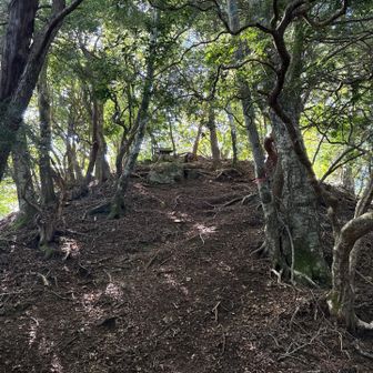 山頂には祠