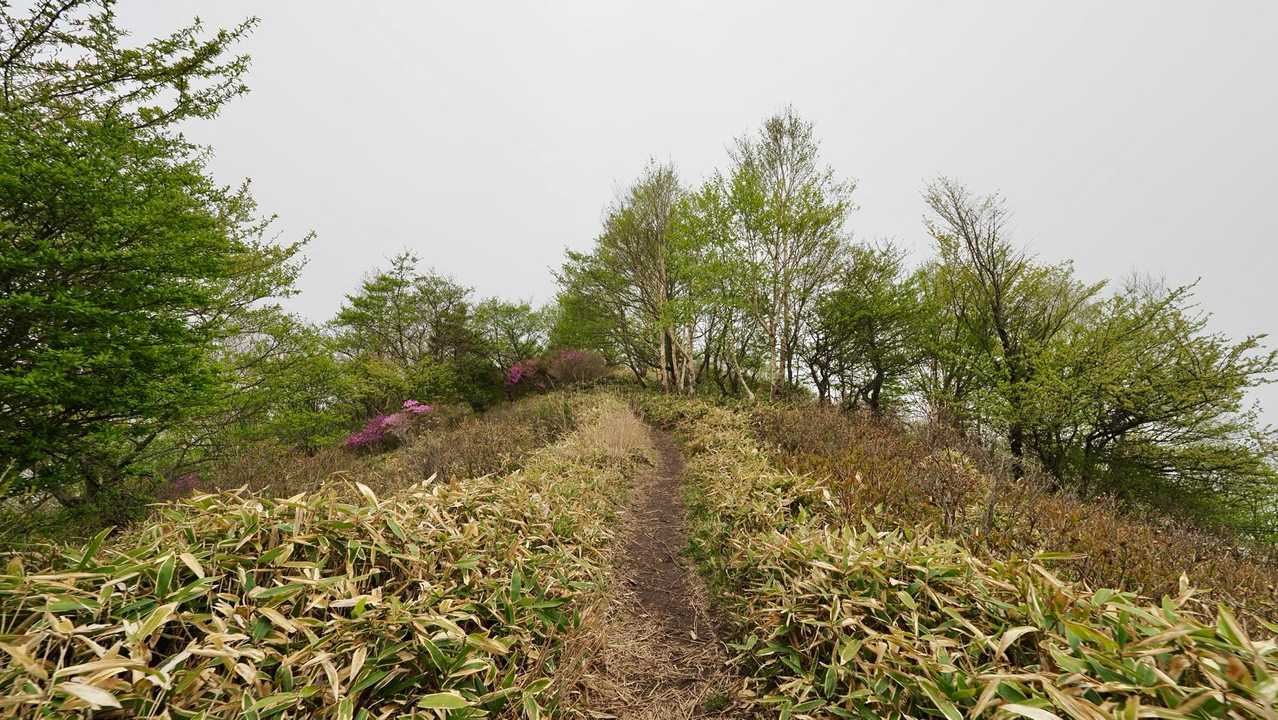 地蔵岳・高天原・黒檜山（赤城山）・駒ヶ岳 の写真 7