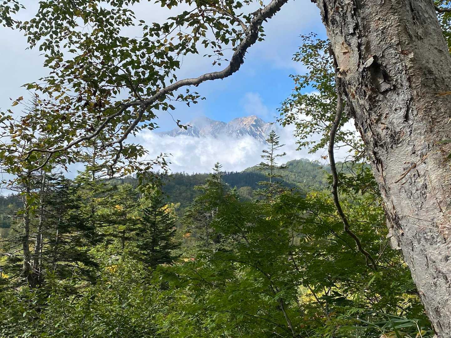 栂池自然園・天狗原の湿原を経て岩稜帯の山頂へ。眼下には白馬大池の水鏡の写真