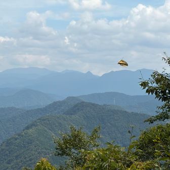 三角に尖ってるのは冠岳。福井県の名峰がバーンって見える😳