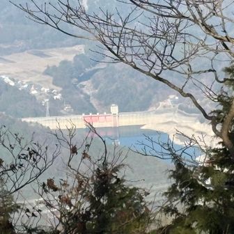 山頂近くから永源寺ダムが見えました