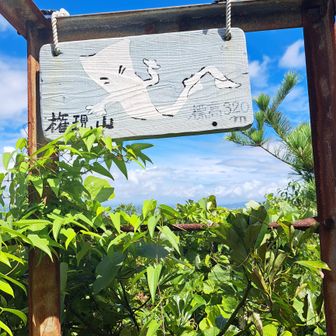 展望台上