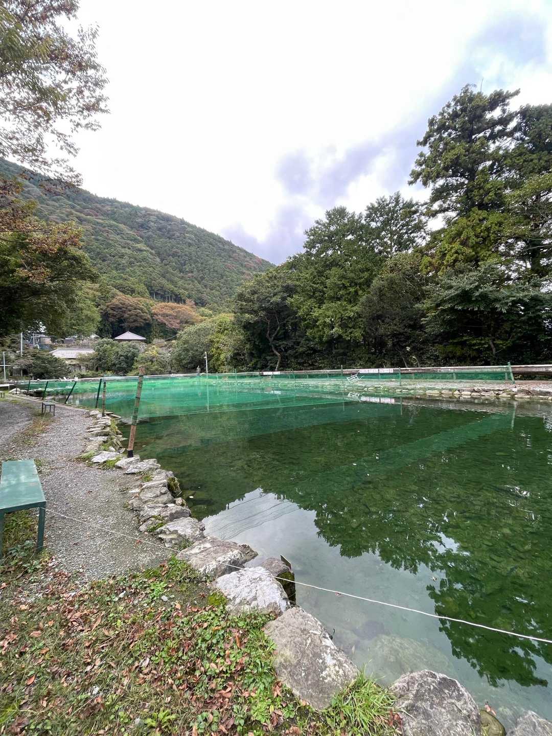 突然現れた生簀には