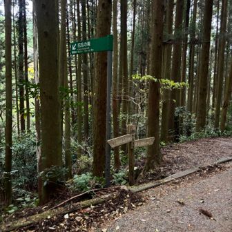 ここから階段を下って花乱の滝へ。