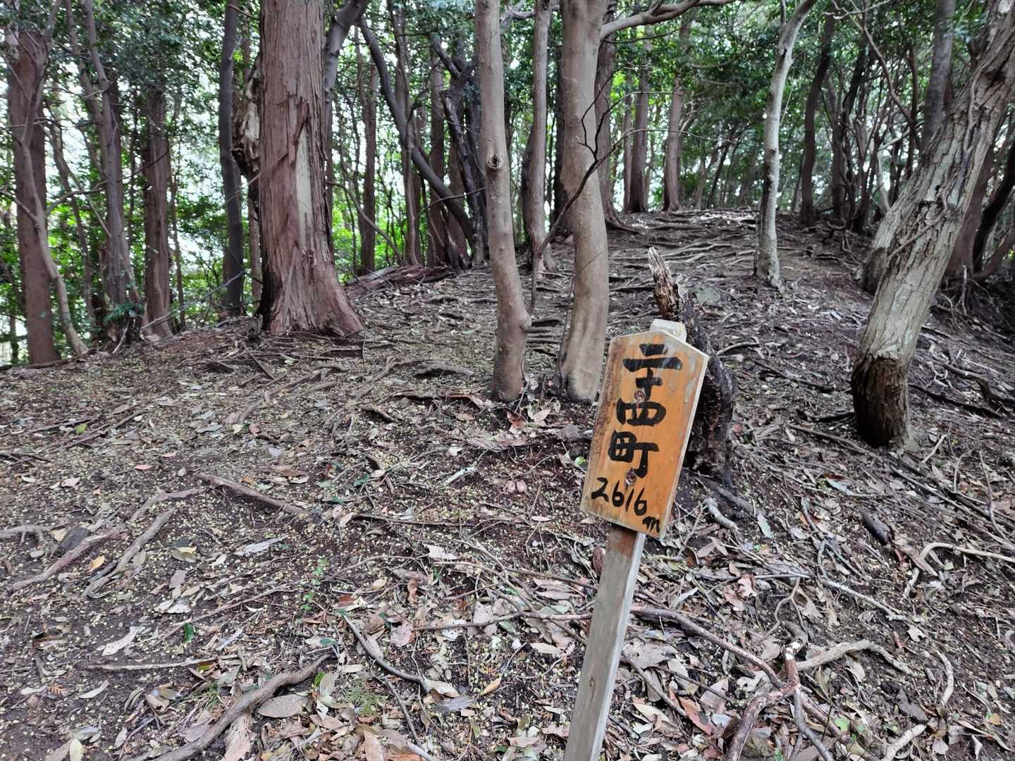 鈴の音アルプス（桝形山-鉢ヶ峰-日川富士-観音岳） 縦走コースの写真