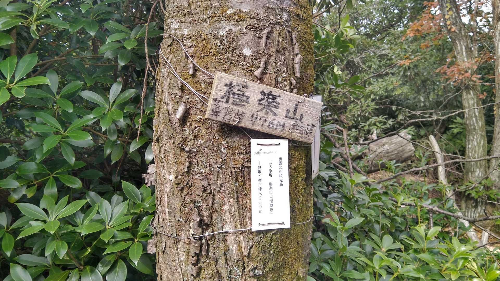 極楽山着⛰️