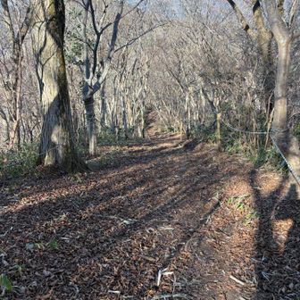 先が見えなくなるほどの激下り