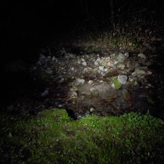 小屋脇の沢は水量少ない