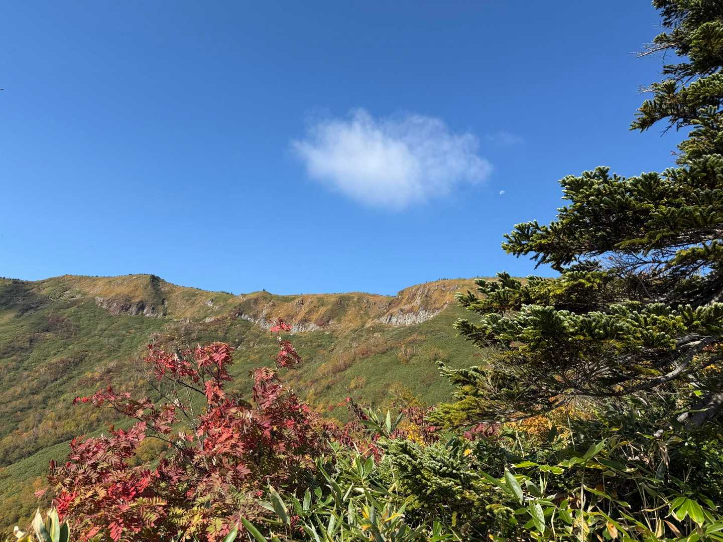 苗場山の稜線が見えました🤩