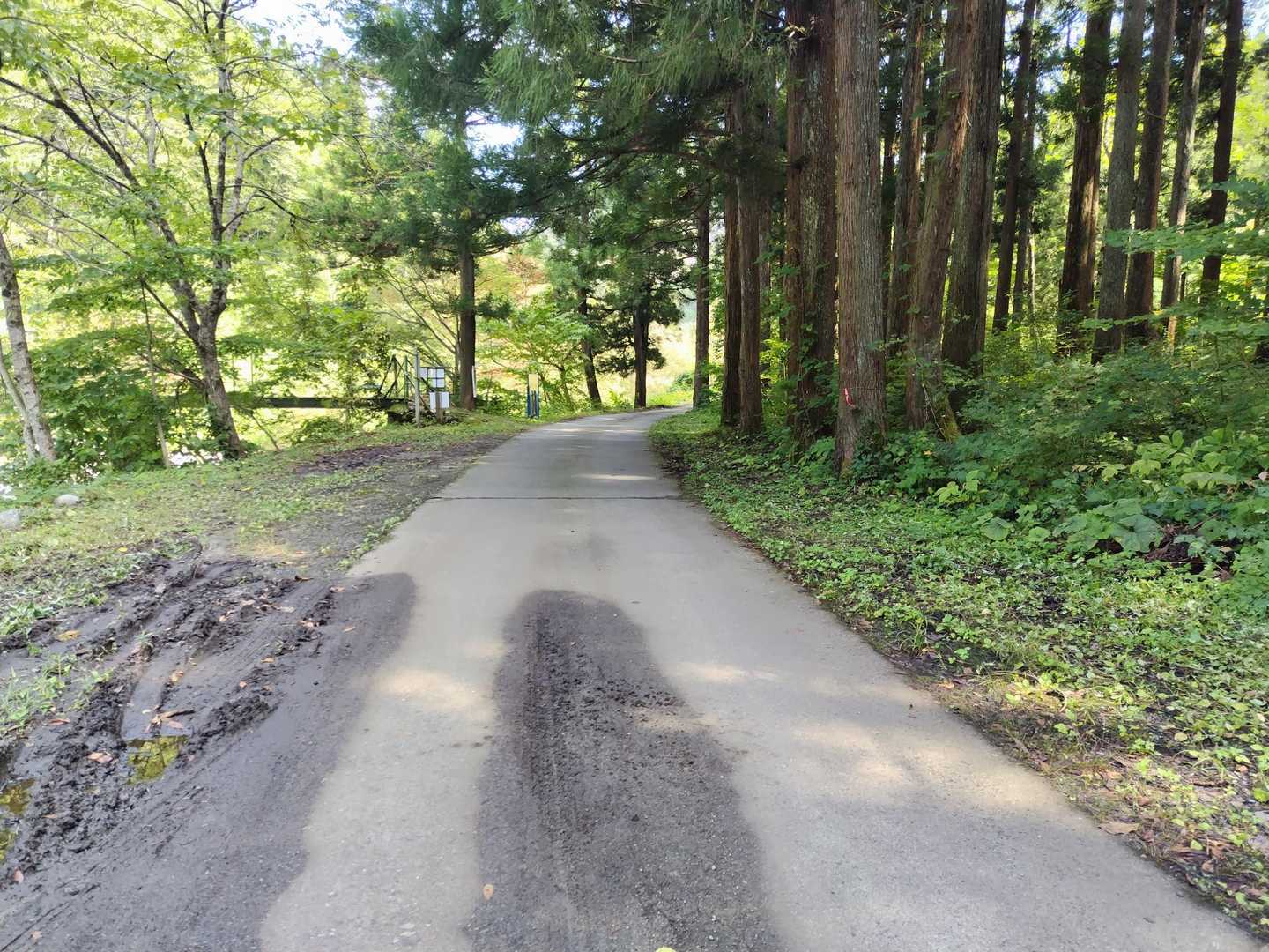 下山しました
駐車場は登山口への橋の周辺に
路側帯があちこちにあります🚙