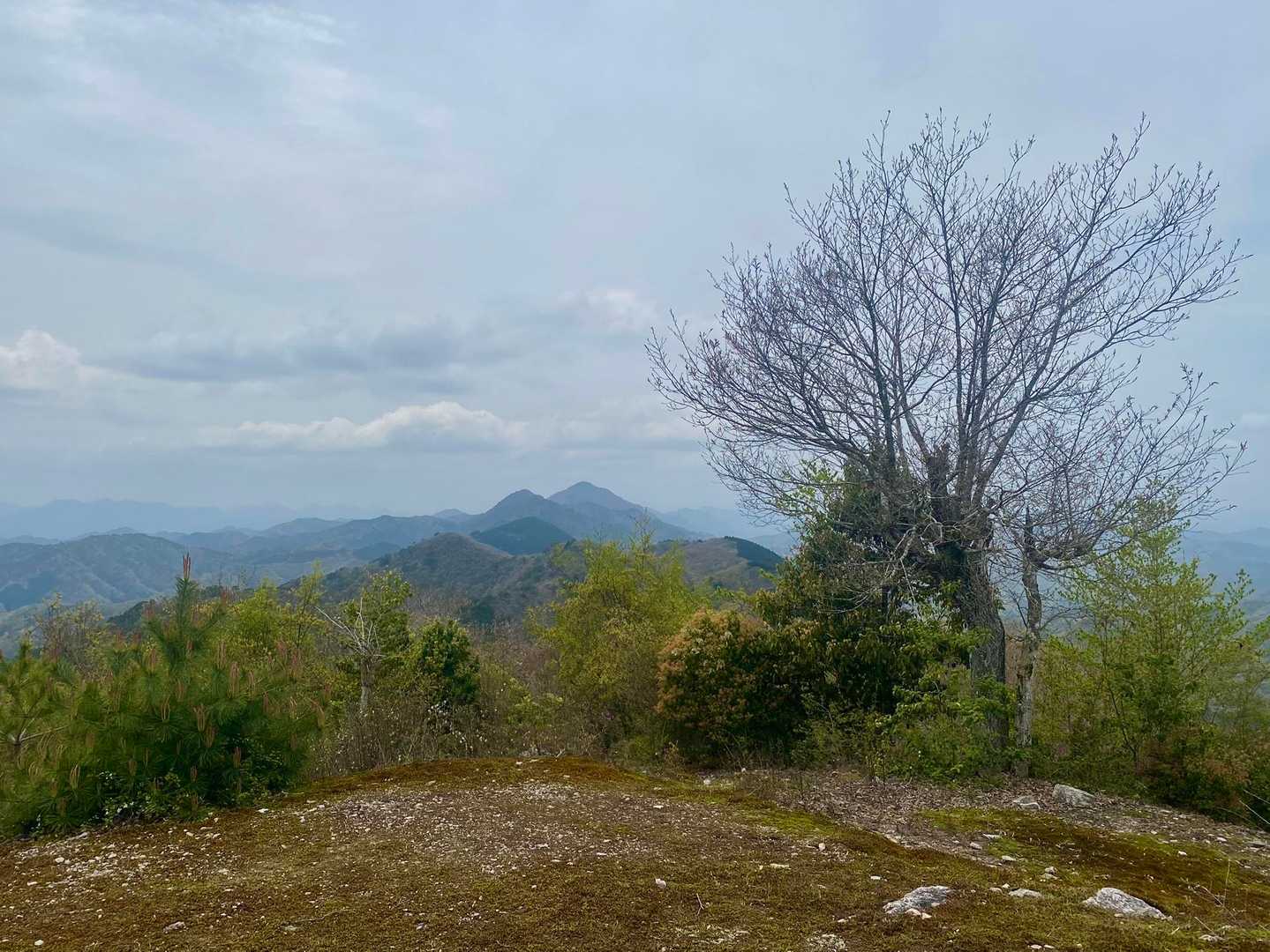 八ヶ尾山-八ヶ尾山登山口 周回コースの写真