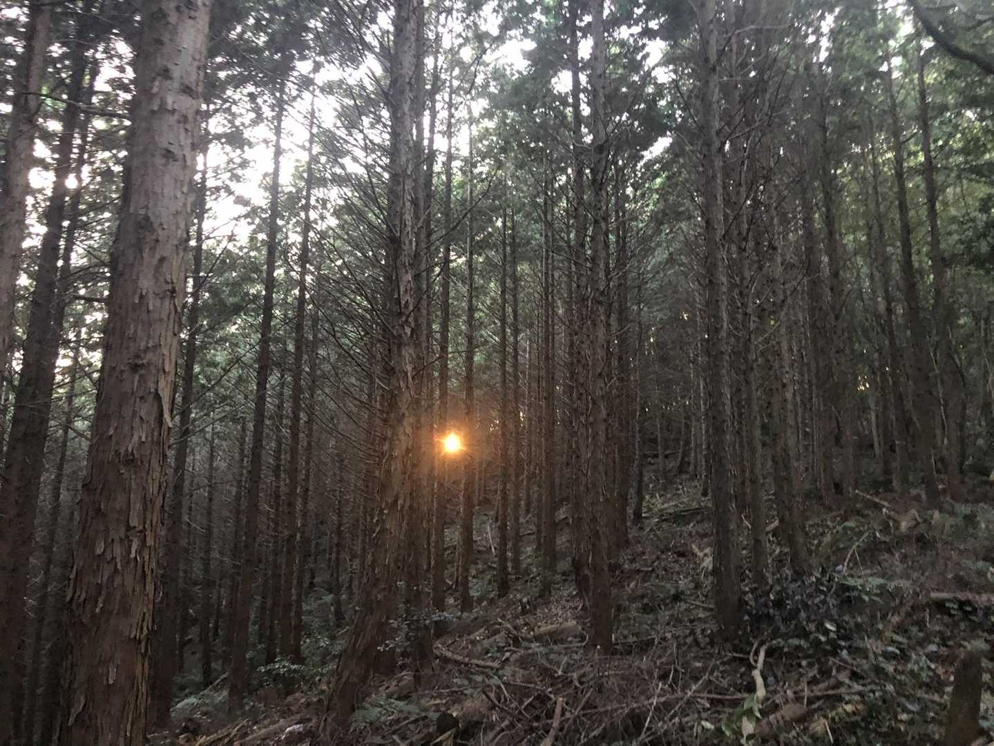 今日はいける気がするーー🌄