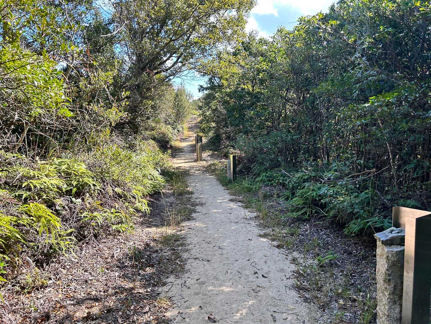 歩きやすい季節になりました