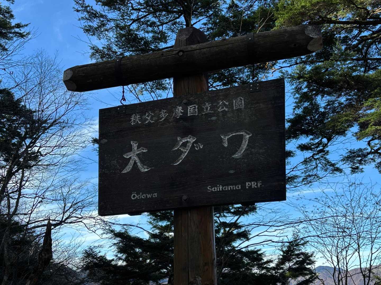 大ダワを間違えて大ワダって思ってましたの
大ワダ専務...お、し、ま、い、デス！とか考えながらクフクフしてましたの

今大ワダじゃなく、大ダワに気がついてよ