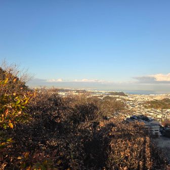 鷹取山山頂から八景島方面