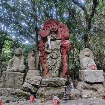 初めて来ました