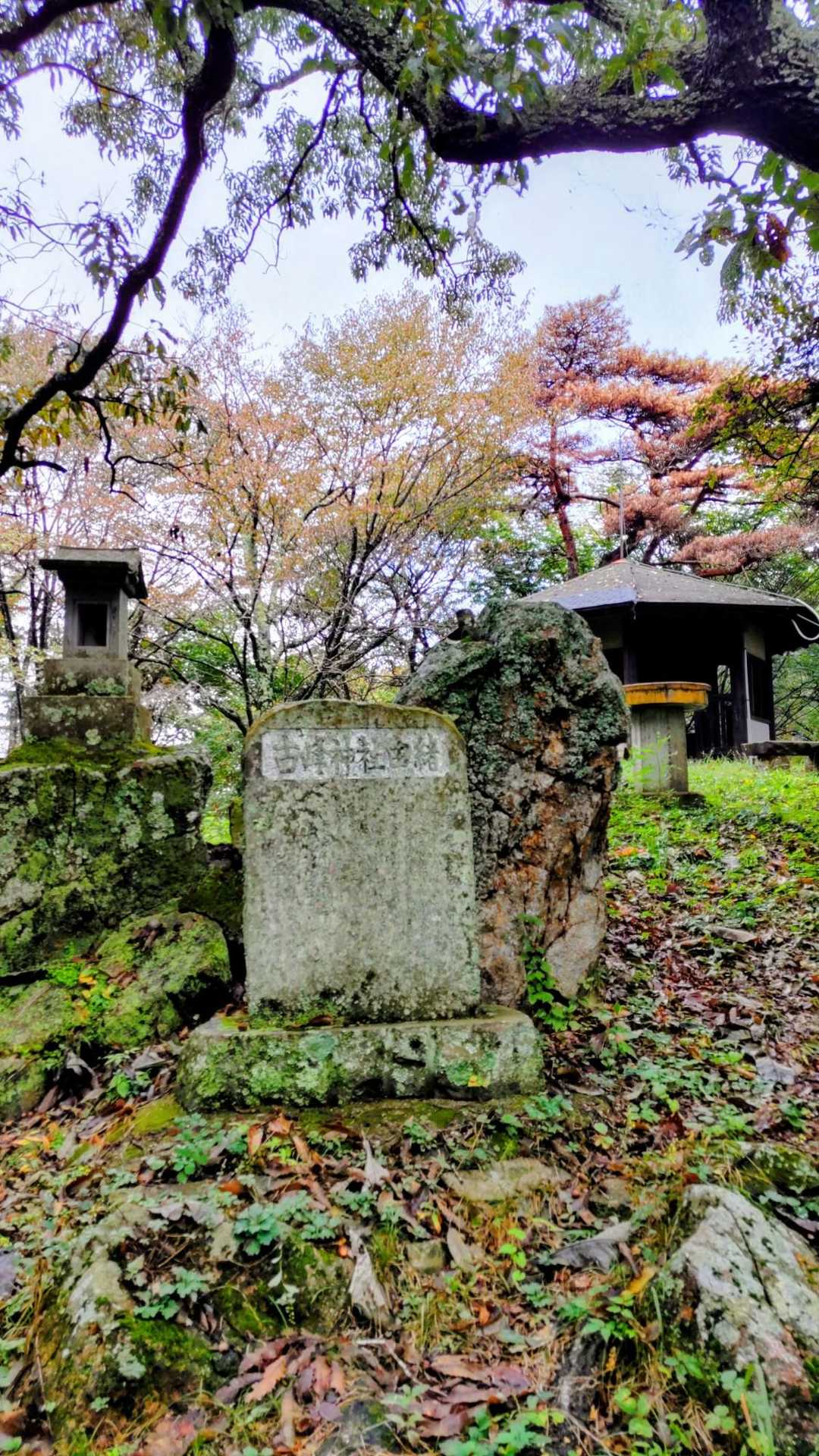 山頂には他の登山者がいました！　
別のの登山口から登ってきたと思います。
