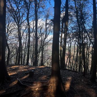 一本松山山頂。