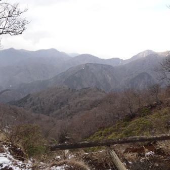 金冷シ付近まで降りてきてもまだ降ってました。
花立山荘に着く頃にはいつの間にか止んでましたが。