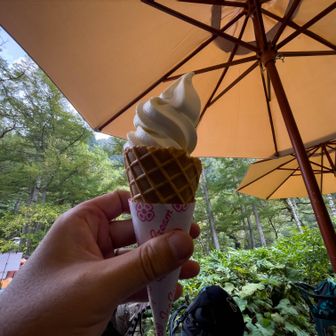 ご褒美スィーツその１は・・・

トワサンクのりんごソフト。酸味がほんのり。美味しくてペロリ。