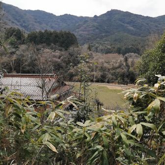 右に民家が一軒あるだけ