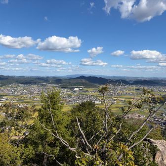 向こうの山塊は六甲山系かな
