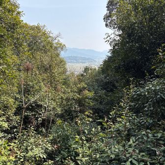 ちょこっと眺望👀