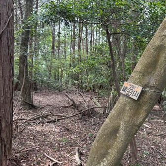 登山口から誰とも会わずに諸羽山に到着、大文字山人気ないのんかな