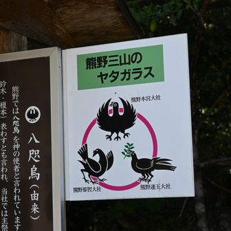 それぞれ違うらしい